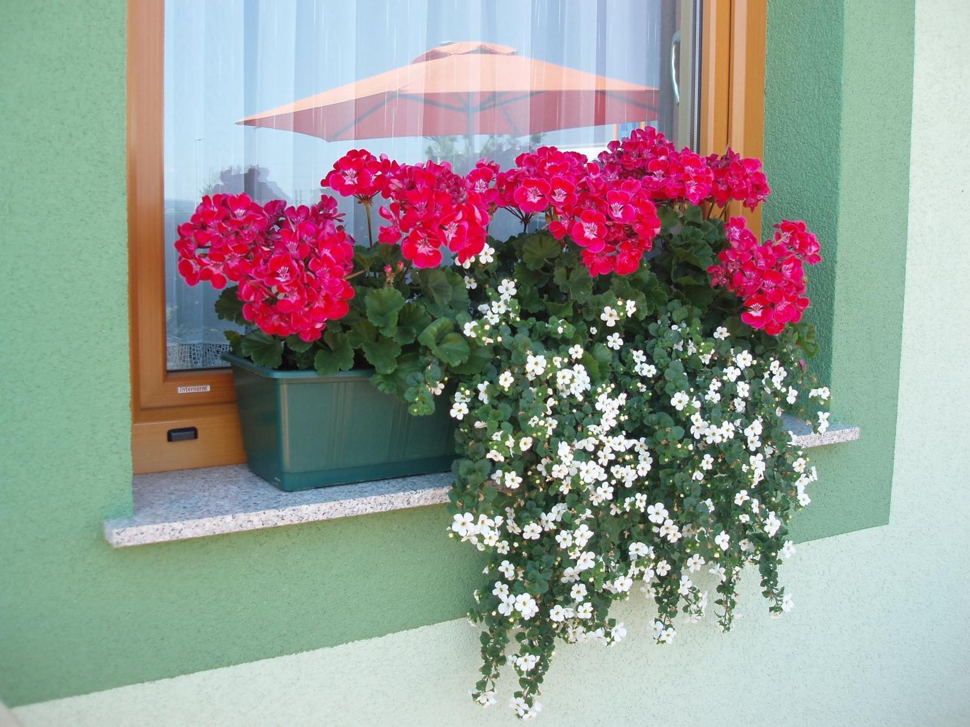 Motel Divjak Spodnje Hoce Exterior photo