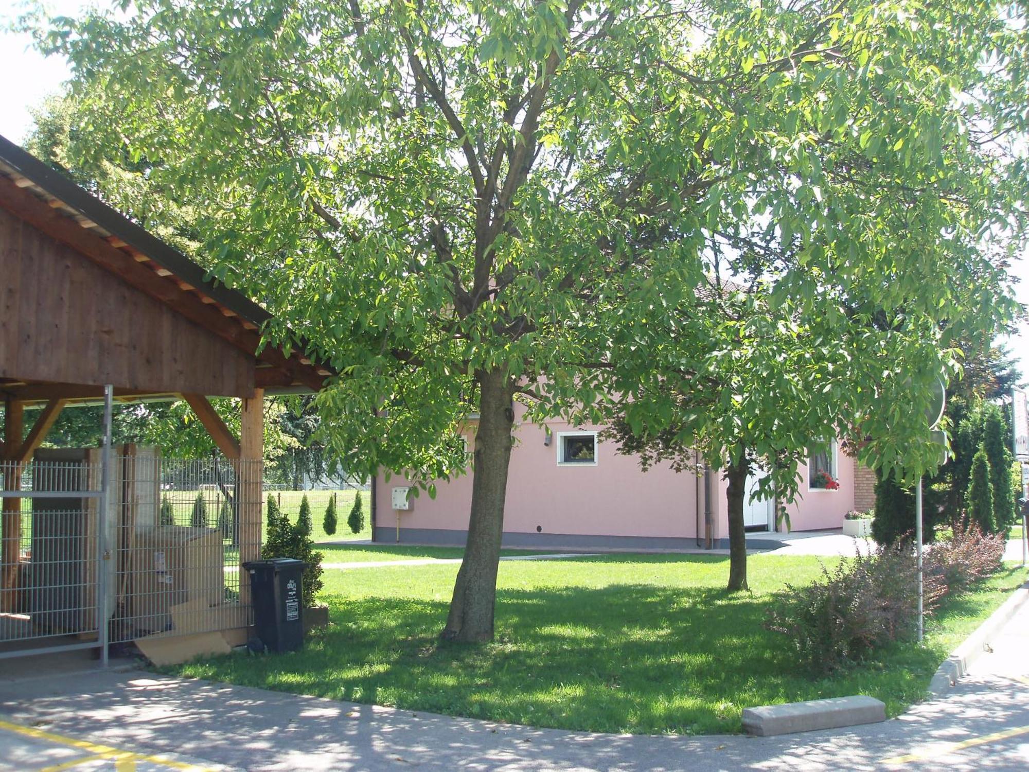 Motel Divjak Spodnje Hoce Exterior photo